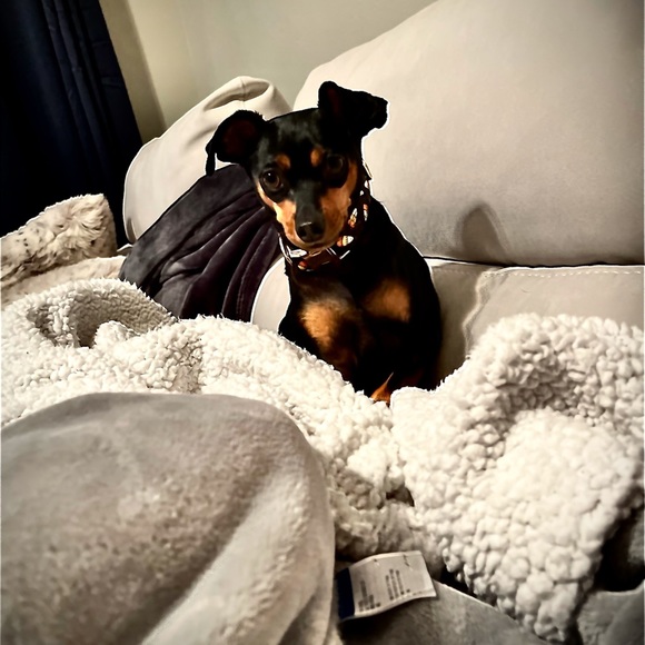 Meet your Posher, Regina - Picture 4 of 10